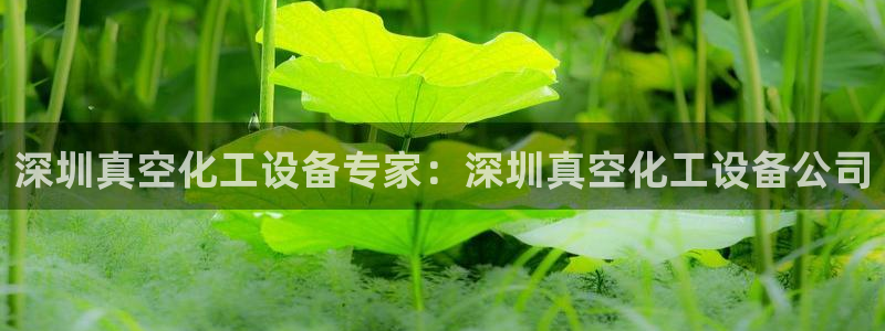 美獅貴賓會中心