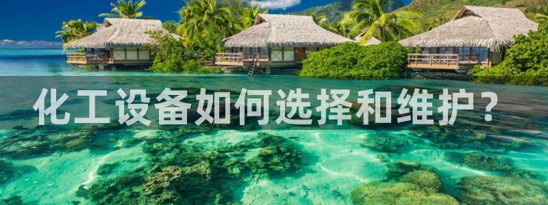 美獅圖片