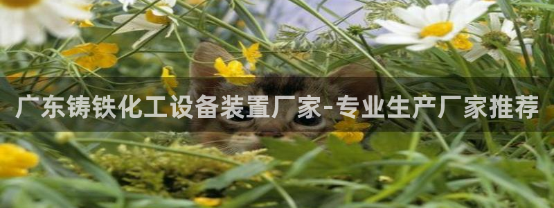 美獅外匯最新消息