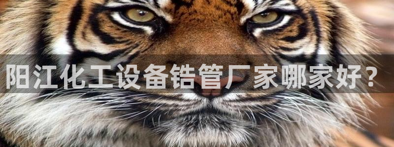 美獅集團