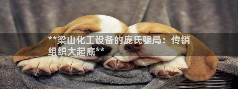 美獅會平臺真的假的