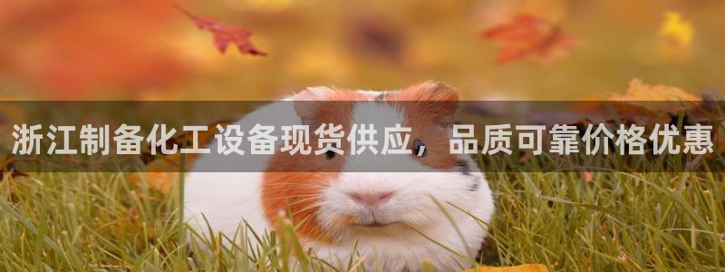 美獅貴賓有人贏過嗎