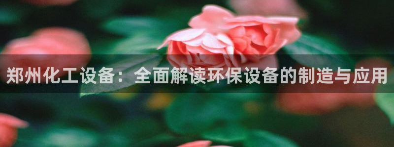美獅會怎么賺錢
