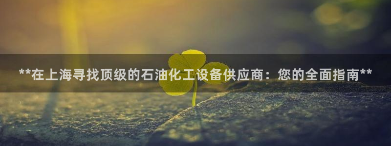 美獅充值中心