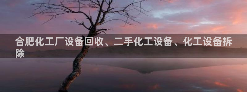 美獅貴賓會網址是什么