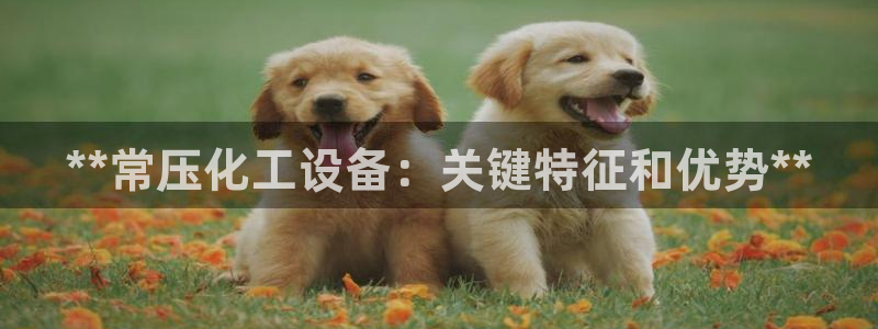 062美獅會app