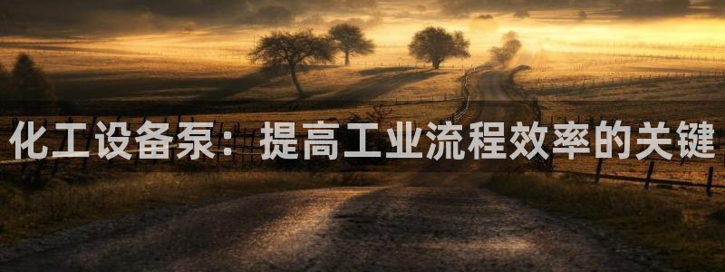 美獅充值中心